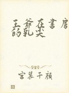 王爷在书房含她的乳尖封面