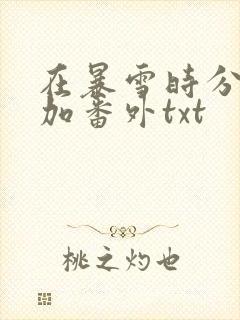 在暴雪时分全文加番外txt