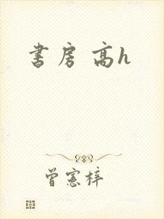 书房 高h