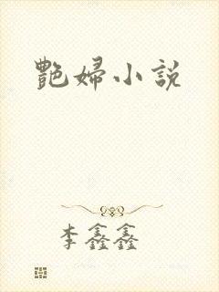 艳妇小说