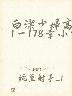 白洁少妇高义第1一178章小说