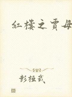 红楼之贾母封面