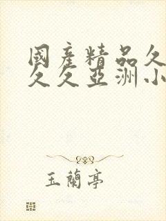 国产精品久久久久久亚洲小说