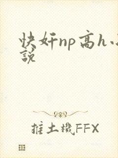 快奸np高h小说封面