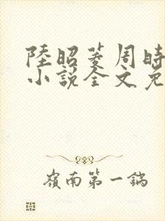 陆昭菱周时阅的小说全文免费阅读封面