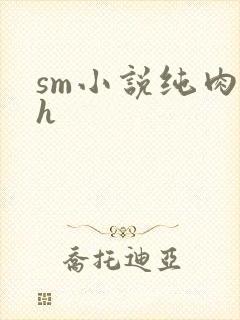 sm小说纯肉高h