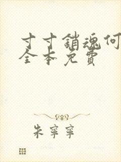 寸寸销魂何生祥全本免费