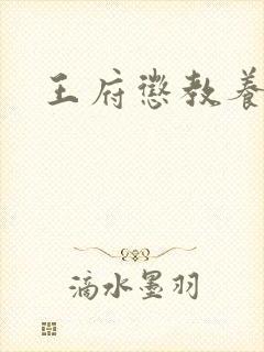 王府惩教养日常