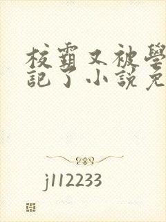 校霸又被学神标记了小说免费阅读封面