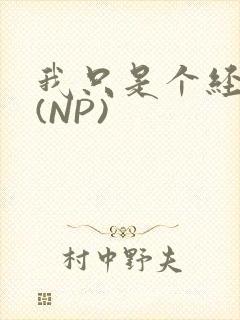 我只是个经纪人(NP)