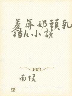 羞辱奶头乳夹铃铛h小说封面