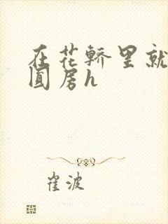 在花轿里就开始圆房h