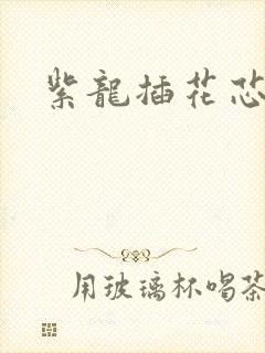 紫龙插花芯方正封面