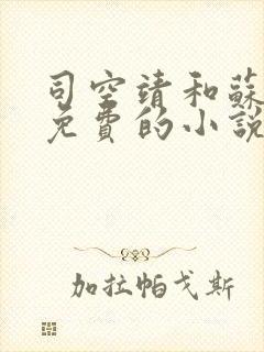 司空靖和苏月汐免费的小说笔趣阁