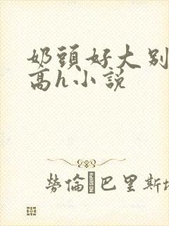 奶头好大别吸了高h小说封面