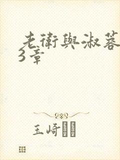 老卫与淑蓉第13章