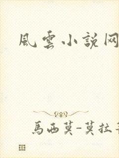 风云小说网