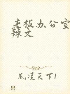 老板办公室系列辣文