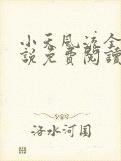 小天风流全集小说免费阅读