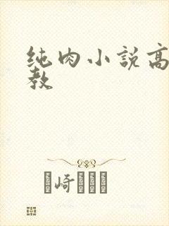 纯肉小说高h调教