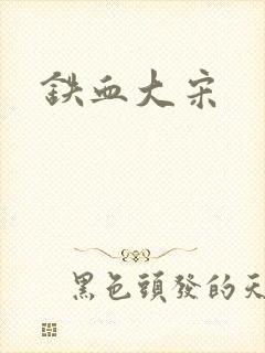 铁血大宋