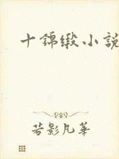 十锦缎小说