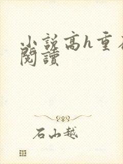 小说高h重在线阅读