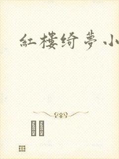 红楼绮梦小说封面