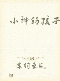 小神的孩子们封面