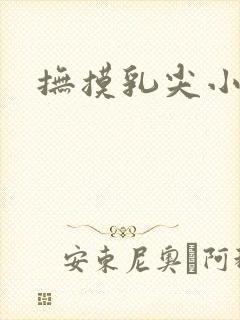 抚摸乳尖小说封面
