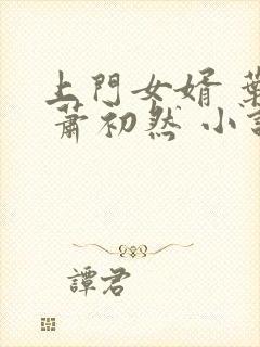 上门女婿 叶辰 萧初然 小说封面