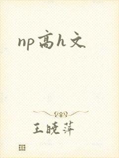 np高h文封面