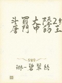 斗罗大陆2绝世唐门中的王冬