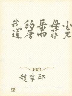 我的岳母小说林道唐雨菲免费阅读