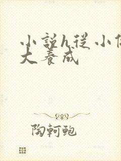 小说h从小做到大养成