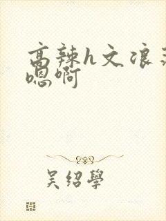 高辣h文浪荡嗯嗯啊