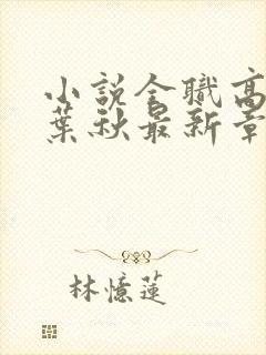 小说全职高手·叶秋最新章节在线