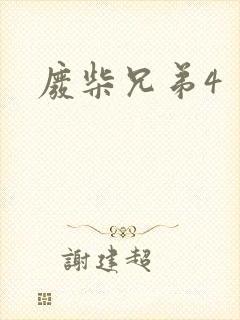 废柴兄弟4封面