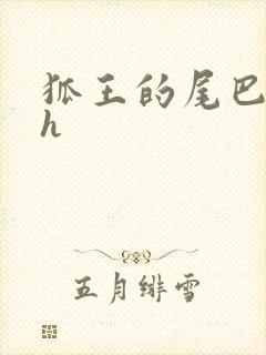 狐王的尾巴高ah