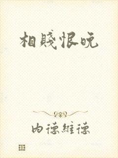 相贱恨晚封面