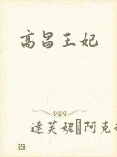 高昌王妃封面