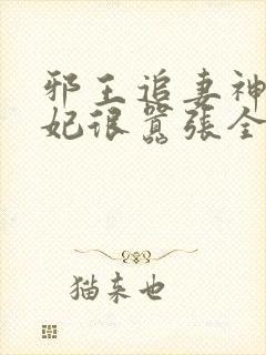 邪王追妻神医狂妃很嚣张全文免费封面