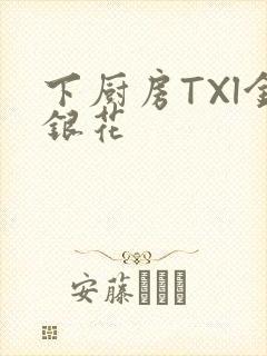 下厨房TXl金银花封面