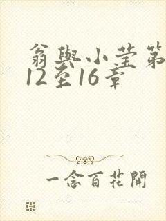 翁与小莹第十部12至16章封面