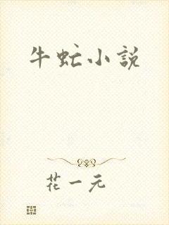 牛虻小说