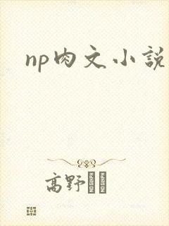 np肉文小说封面