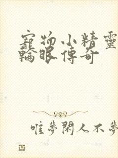 宠物小精灵之写轮眼传奇