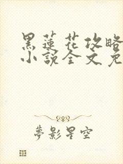 黑莲花攻略手册小说全文免费阅读笔趣阁封面