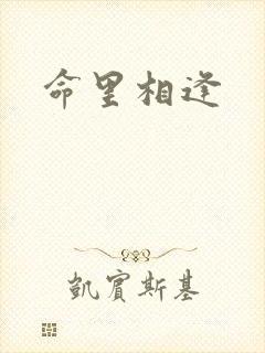 命里相逢
