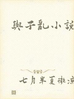 与子乱小说封面